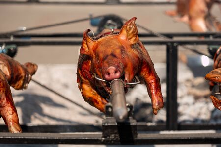 Golden whole roasted pig on a spitの写真素材