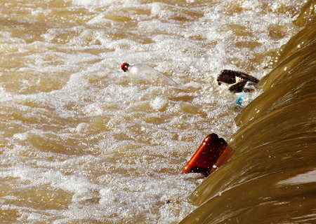 Garbage in the river