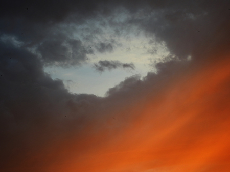 Gray and orange sky with birds