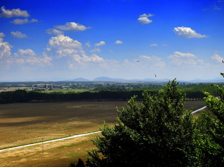 Typical Castilian landscape a day of summer heatの写真素材