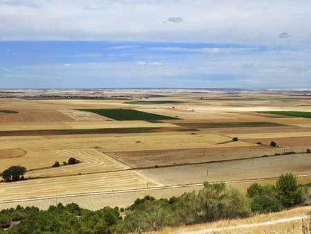 Castilian countryside in summerの写真素材