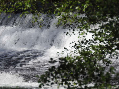 trees and waterの写真素材