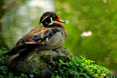 Relaxの写真素材