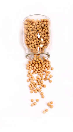 Lots of soybean in a glass potの写真素材