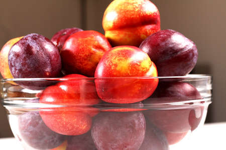Nectarines and Plums in a glass bowl, close up
の写真素材