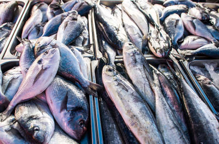 Fresh fish in a marketの写真素材