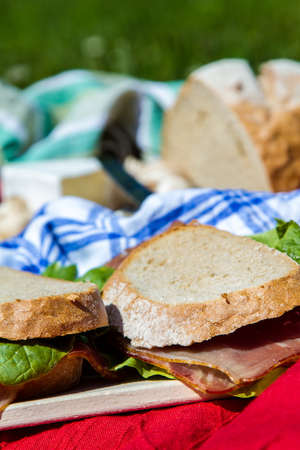 Picnic in the nature in a sunny dayの写真素材