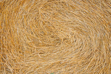 Haystack on a fieldの写真素材
