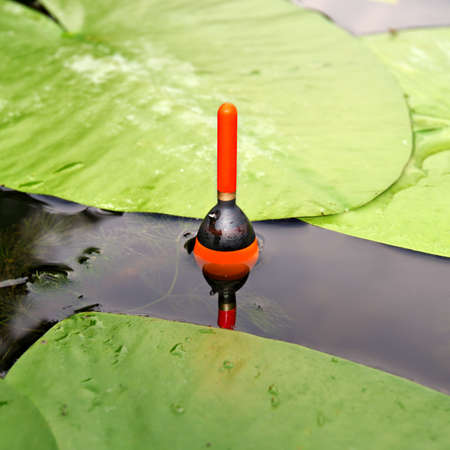 Fishing float in a water on the lake