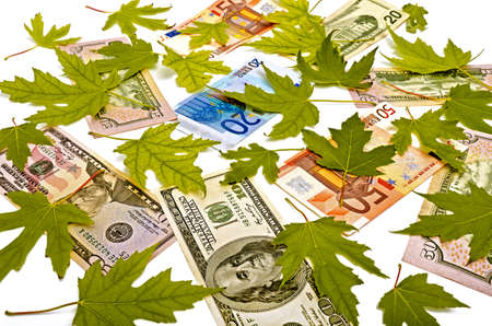 Dollars and Euro with yellow leaves on a white background