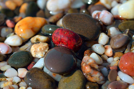 Wet sea pebbles on the seashoreの写真素材