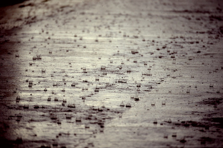 Heavy rain on asphaltの写真素材