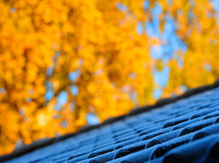 First frost on roof tiles fall leaves in backgoundの写真素材