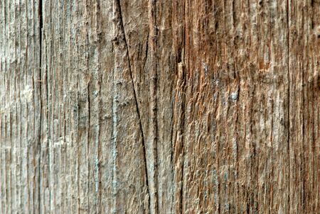 Closeup picture of texture and patterns on barkの写真素材