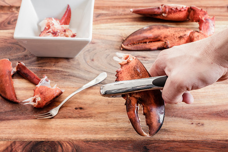 Cracking leftover lobster claws to get to the meat inside.  Getting ready to make lobster roll sandwichesの写真素材