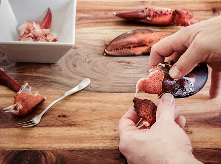Cracking leftover lobster claws to get to the meat inside.  Getting ready to make lobster roll sandwichesの写真素材