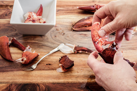 Cracking leftover lobster claws to get to the meat inside.  Getting ready to make lobster roll sandwichesの写真素材
