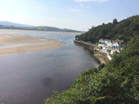 Hidden beautiesの写真素材