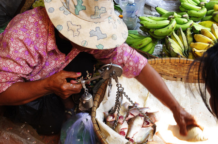 Market scene, woman with hat weighing fresh fish on a scale for saleの写真素材