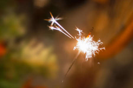 A spray candle on the Christmas treeの写真素材