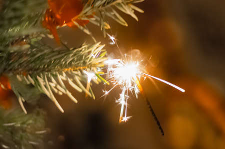 A spray candle on the Christmas treeの写真素材