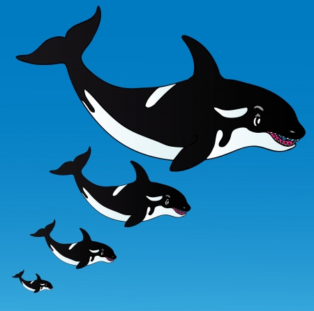 Orcas in the ocean - vector illustration のイラスト素材