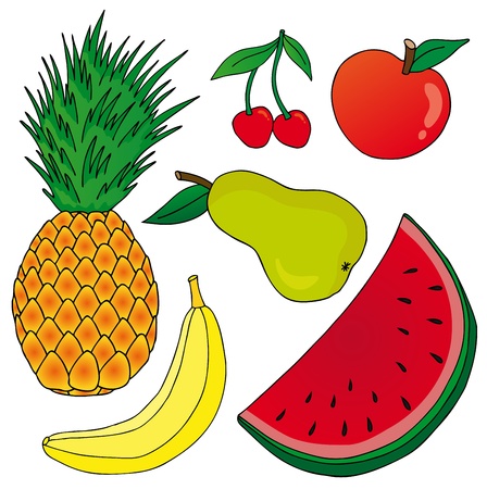 Fruits on white backgroundのイラスト素材