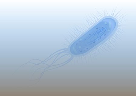 bacteriaのイラスト素材