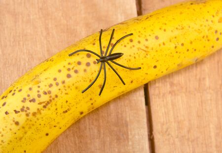 Arachnid on a big bananaの写真素材