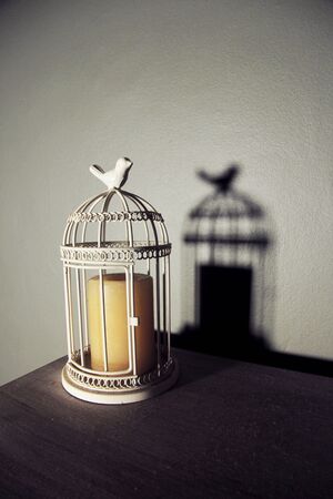 plastic bird on a cageの写真素材