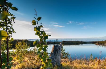 the nature of the Far Northの写真素材