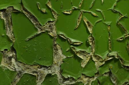 Old green wallの写真素材