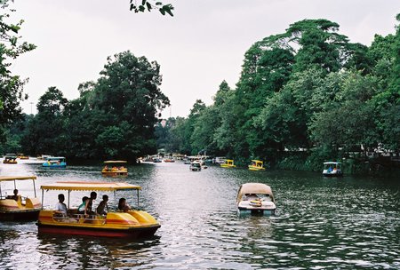 Parkのeditorial素材