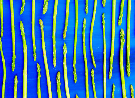 Fresh green asparagus shoots pattern, top view. Isolated over blue. Food background asparagus patternの写真素材