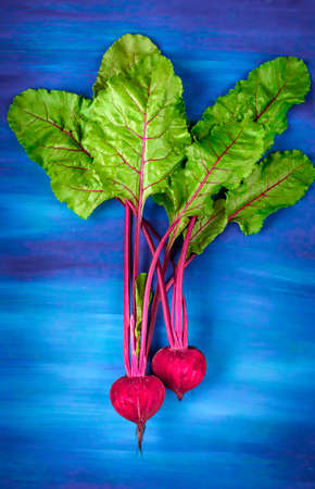 Beetroot cut in half on a dark background, place for textの写真素材