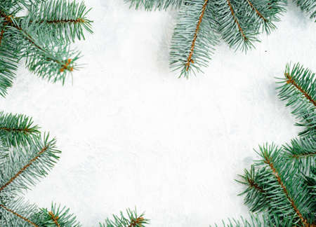 Christmas frame made of fir branches