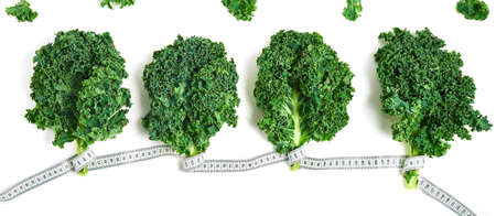 creative layout kale with measuring tape concept diet, healthy lifestyle, diet, vegetarian, top view.の写真素材
