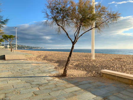 A magnificent morning on the promenade in the city of Platja d'Aro, province of Girona, Catalonia, Spain. Boardwalk, tree, sun, sea, harmony.の写真素材