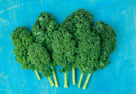 Creative layout made of kale. Flat lay. Food concept.