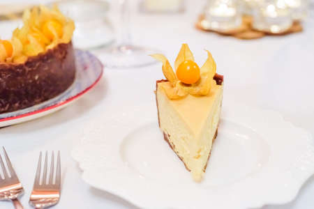 New York cheesecake garnished with physalis on a colorful background