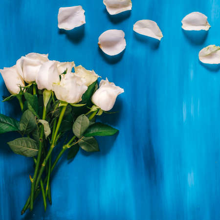 white roses flat lay on a classic blue backgroundの写真素材