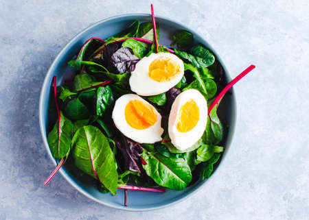 green salad with egg in a blue bowl on a blue backgroundの写真素材