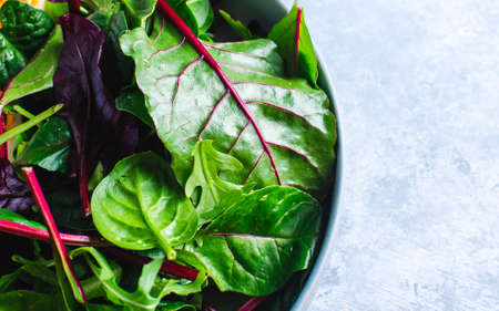 chard salad in blue bowl top viewの写真素材