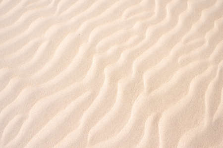 Golden sand in duneの写真素材