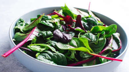 chard salad in blue bowl top viewの写真素材