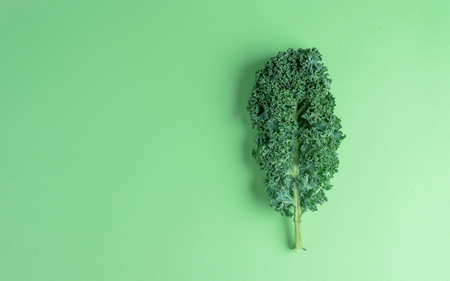 Kalegreen leaves curly kale, pattern, top viewの写真素材
