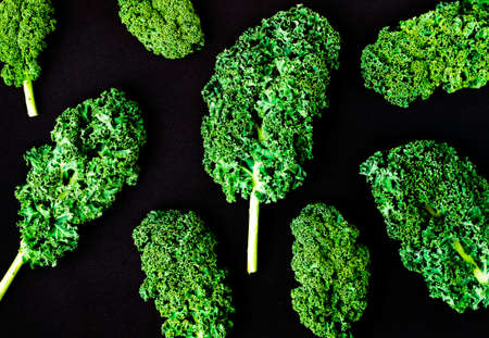 Creative layout made of kale. Flat lay. Food concept.の写真素材