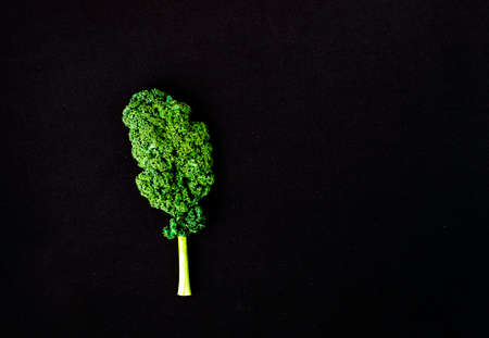 Creative layout made of curly kale leaf on colorful background. Flat lay. Food concept.の写真素材