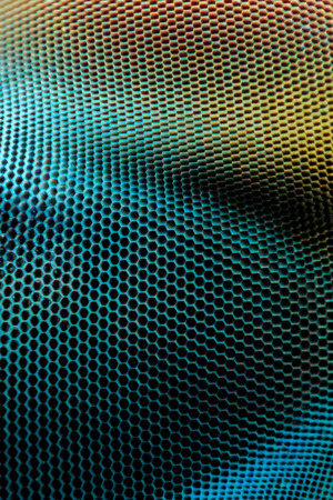 Extreme magnification - Dragonfly compound eye textureの写真素材