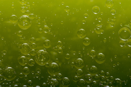 World of bubbles - Greenの写真素材
